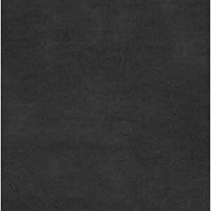 Biblia Reina Valera 1960 del Pescador Edición de Liderazgo Negro