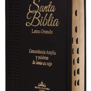 Biblia Reina Valera 1960 Para Hombre Letra Grande Negra