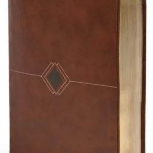 Biblia Rvr 1960 Cronologica, Dia Por Dia, Marron Simil Piel