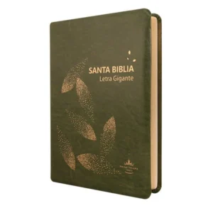 Biblia Reina Valera 1960 Letra Gigante 17x23cm Tapa PU Concordancia Verde