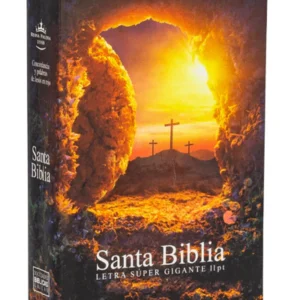 Biblia Reina Valera 1960 Letra Grande 11 puntos Concordancia Piedra Tapa Dura