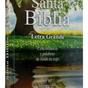Biblia Reina Valera 1960 Letra Grande Palabras Jesús Rojo Concordancia Tapa rustica