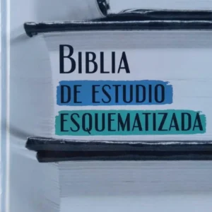 Biblia De Estudio Esquematizada Reina Valera 1960 Tapa Dura Blanco