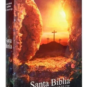 Biblia Reina Valera 1960 Letra Super Gigante Piedra Removida