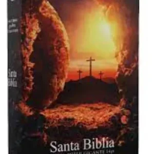 Biblia Reina Valera 1960 Letra Grande Piedra Removida 14 puntos de Letra Tapa Rústica